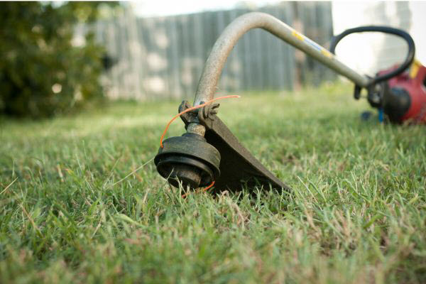 Whipper Snipper Lying On Lush Garden Grass